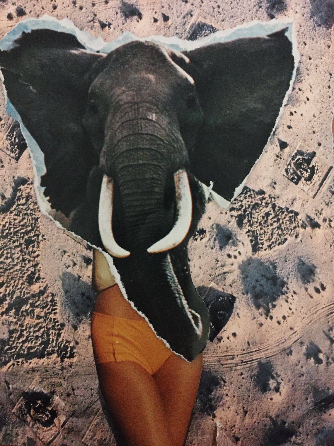 Processed with VSCO with c1 preset